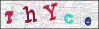 Image Verification