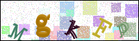 Image Verification