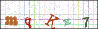 Image Verification