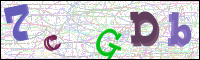 Image Verification